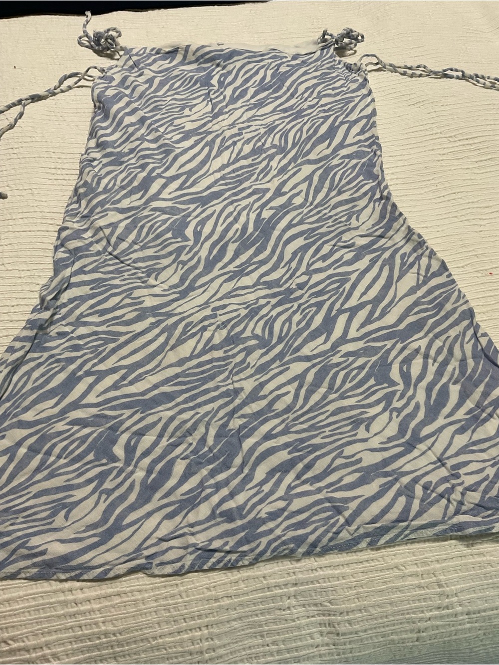 Zara Light Blue and White Zebra-Pattern Slip
